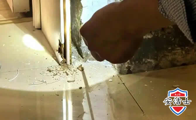 南沙区房屋建筑防治白蚁