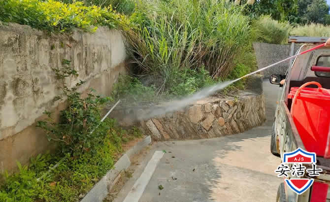 南沙区道路堤坝白蚁防治
