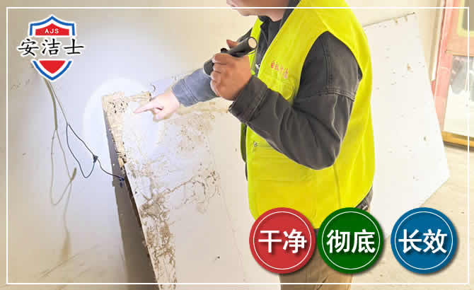 南沙区除白蚁现场