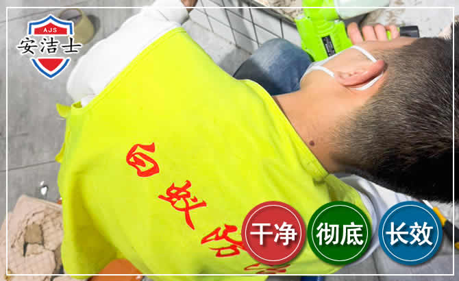 南沙区白蚁根治现场